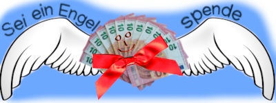 Banner_Spende_Fluegel_text_Hintergrund image Image
